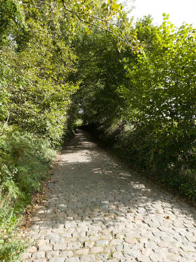 Koppenberg, Zulzeke, Oudenaarde (Belgium)